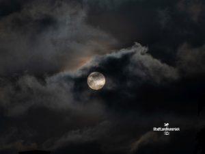 AR3560 Sonnenflecken im Weißlicht