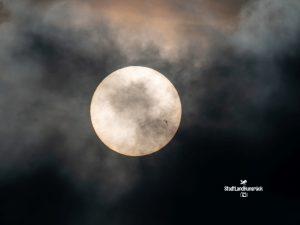 AR3560 Sonnenflecken im Weißlicht