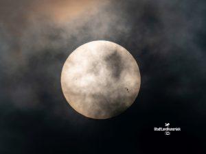 AR3560 Sonnenflecken im Weißlicht