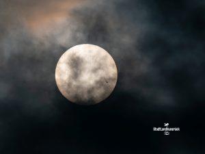 AR3560 Sonnenflecken im Weißlicht